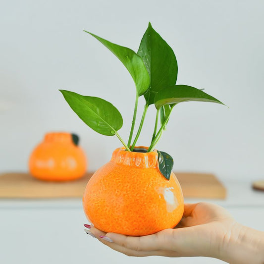 Modern Living Room Hydroponic Flower Arrangement Ornamentwers Green Radish