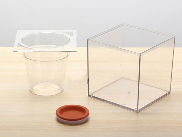 Transparent Fish Tank Flowerpot – Self-Watering Pastoral Style Planter