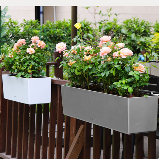 Best Hanging Flower Pot Racks for Your Balcony Railing