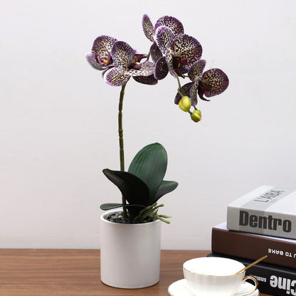 Nordic Artificial Phalaenopsis Orchid Potted Plant – Realistic Silk Fake Flower Decoration