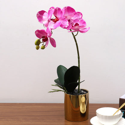 Nordic Artificial Phalaenopsis Orchid Potted Plant – Realistic Silk Fake Flower Decoration