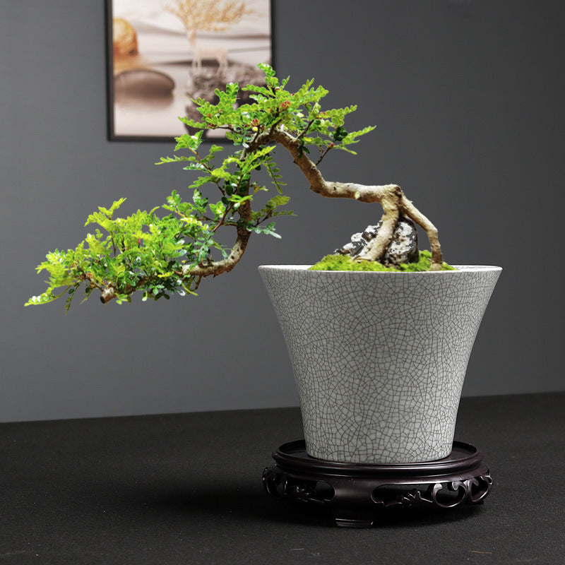 Simple Ceramic Flower Pot – Indoor Greenery Planter