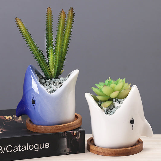 Mini desktop flower pot for cactus and air plants