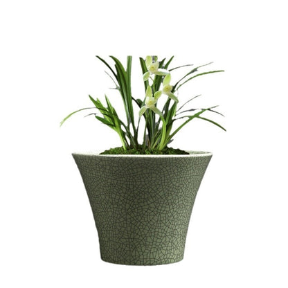 Simple Ceramic Flower Pot – Indoor Greenery Planter