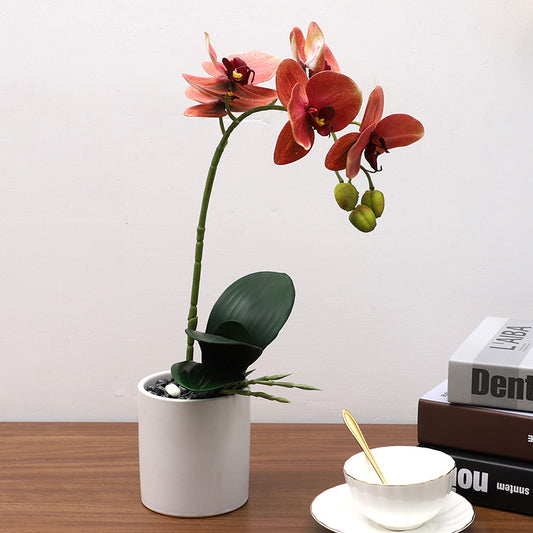 Nordic artificial Phalaenopsis orchid potted plant