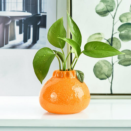 Modern ceramic vase for hydroponic plants